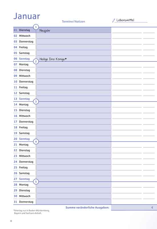 Haushaltsbuch Zum Ausdrucken Sparkasse